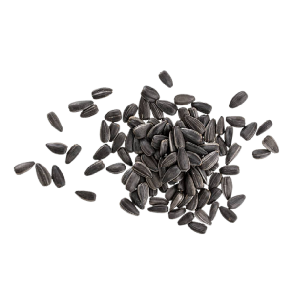 Organic Sunflower Seeds 1 KG Natures Way