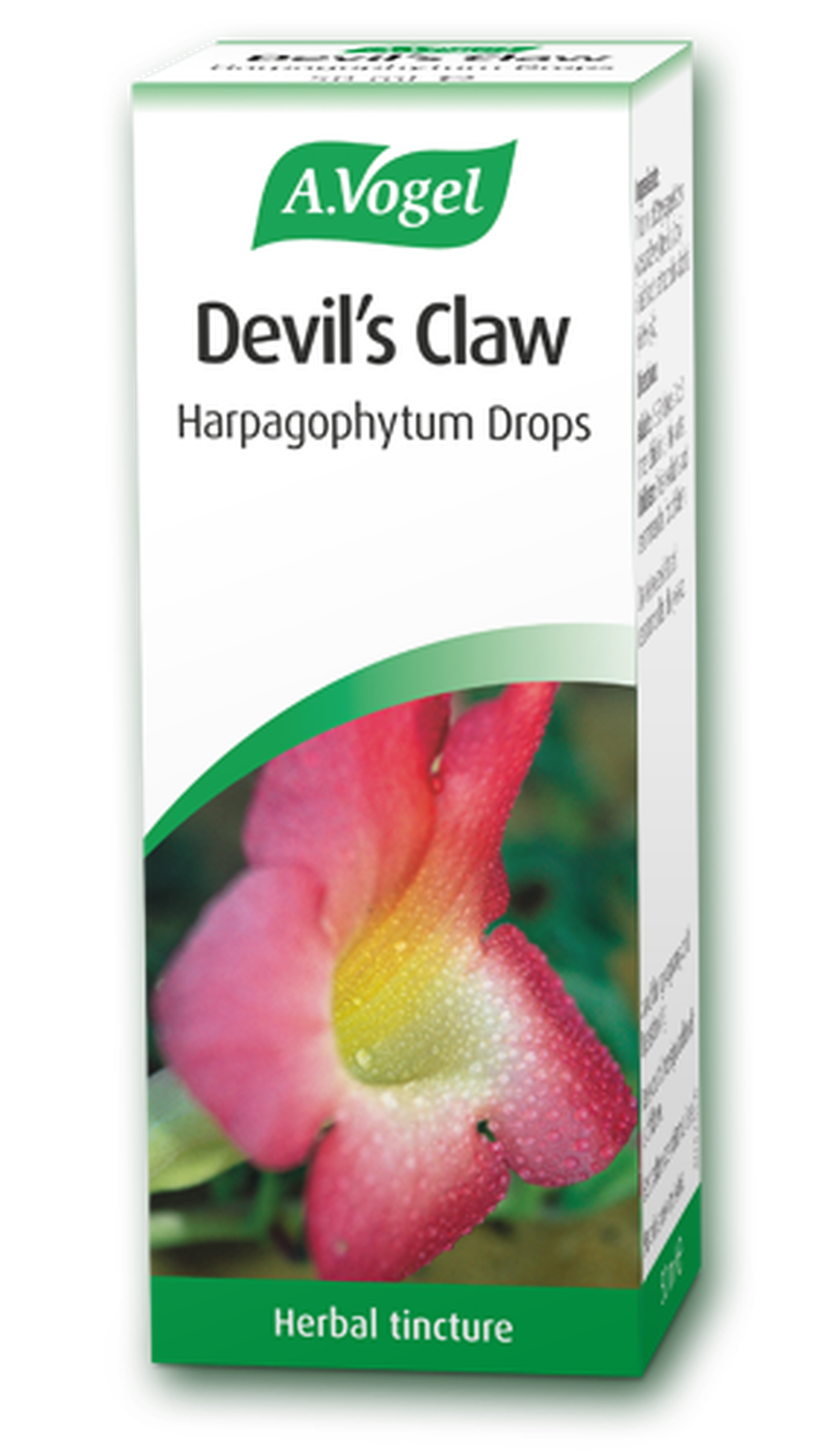 A. vogel devil's claw