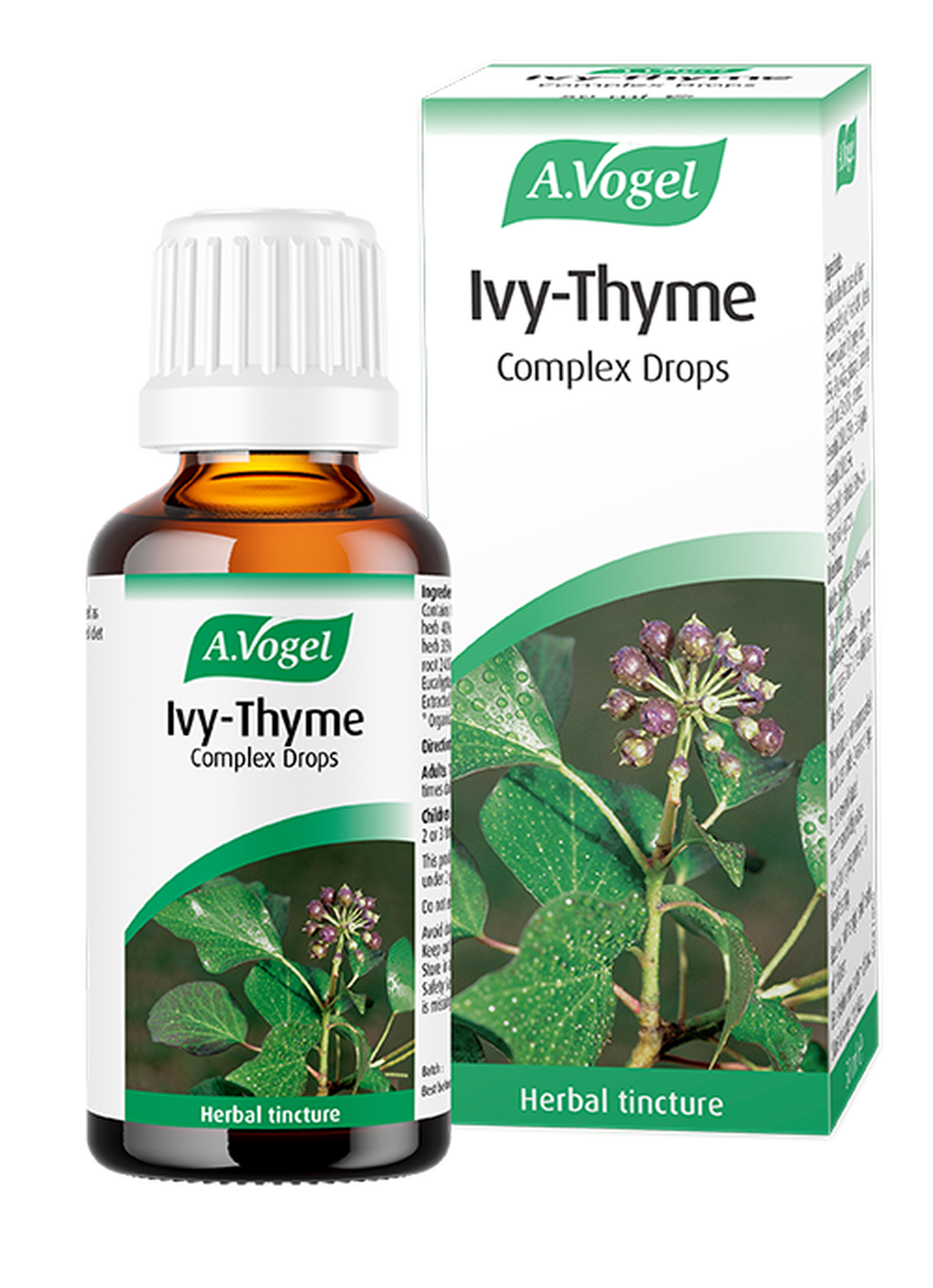 A. vogel ivy-thyme