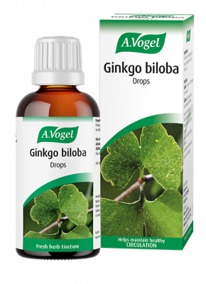 Vogel gingko
